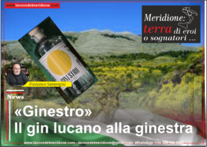 Ginestro-il-gin-lucano-alla-ginestra