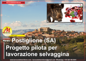 Postiglione-SA-–-Progetto-pilota-per-lavorazione-selvaggina