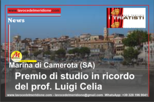 Premio-di-studio-in-ricordo-del-prof.-Luigi-Celia