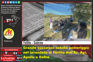 Grande-successo-sabato-pomeriggio-nel-lavandeto-di-Felitto-dellAz.-Agr.-Apollo-e-Dafne-1