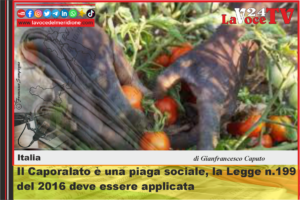 Il-Caporalato-e-una-piaga-sociale-la-Legge-n.199-del-2016-deve-essere-applicata-2