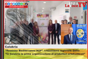 Passione Mediterranea AOP. L’assessore regionale Gallo