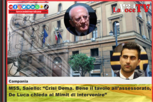 M5S, Saiello Crisi Dema. Bene il tavolo all’assessorato, De Luca chieda al Mimit di intervenire